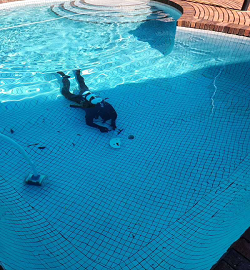 Pool Leak Detection & Repair